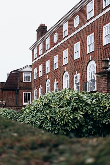 The image depicts a well-maintained residential garden area in front of a multi-story brick building with white-framed windows and small balconies. In the foreground, lush green shrubs with dense foliage are visible, showing a healthy texture and rounded shape. The garden bed is bordered by neatly trimmed grass, and the soil appears moist and dark, indicating recent upkeep. A stone pathway runs along the building, partially obscured by the foliage, suggesting a tidy, organized layout. The scene is lit with natural daylight, highlighting the vibrant greenery and the building's classic brick exterior. This setting exemplifies professional garden maintenance, likely provided by Gardeners Wandsworth, specializing in landscaping work, lawn care, and hedge trimming as part of their external grounds care services for residential and commercial properties.