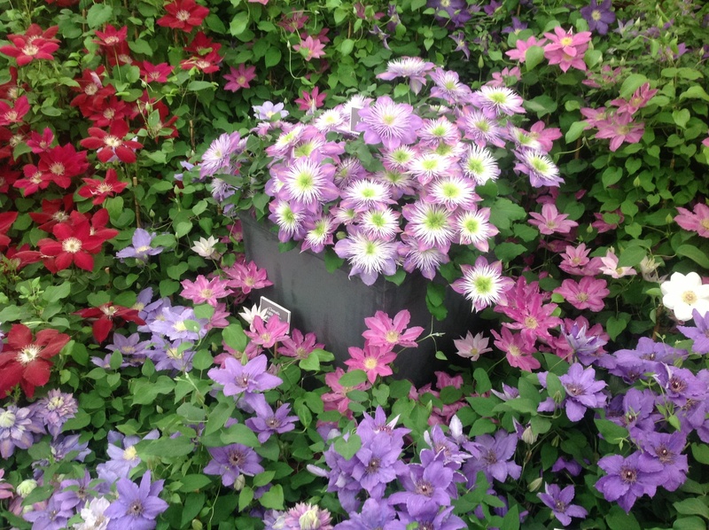 landscape design garden
